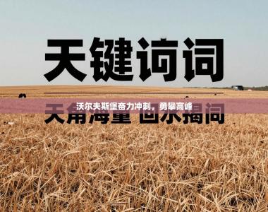 沃尔夫斯堡奋力冲刺，勇攀高峰
