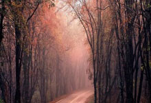 南安普顿客场取分，逼近积分榜前列