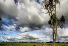 摩纳哥主场失利，积分拉大榜尾差距