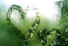 墨西哥女足勇于拼搏，顽强奋斗