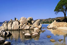 狼堡球员热血沸腾，表现稳定获得压倒性胜利